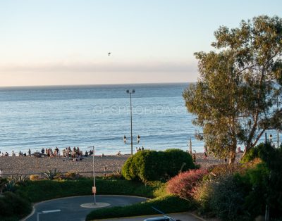 Tranquilidad con vista al mar y la naturaleza 502